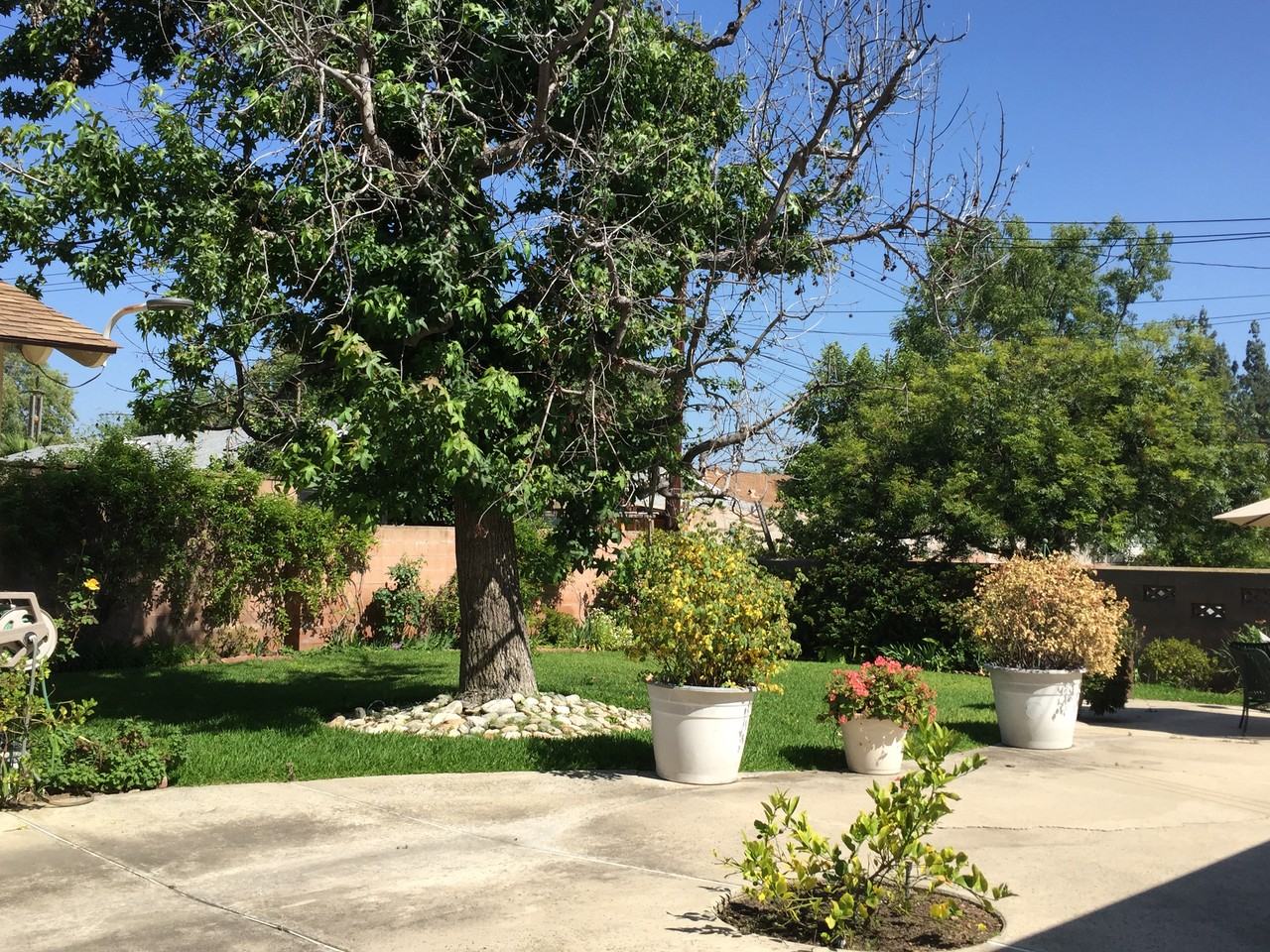 1072 Northwestern Dr - Photo 2 of 31