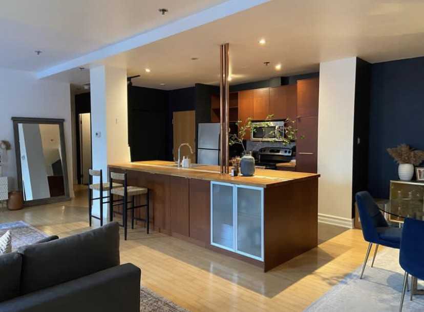 Boul. Saint-Laurent & Rue Ontario E #307 - Photo 3 of 10