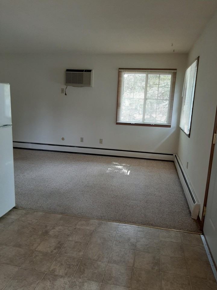 1111 West Minnehaha Avenue - Photo 3 of 5