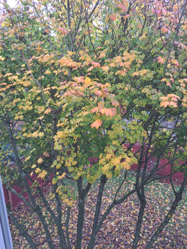 6946 Axis Street Southeast - Photo 4 of 6