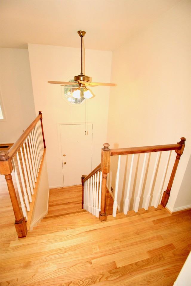 10904 Hobson St #1 - Photo 7 of 28