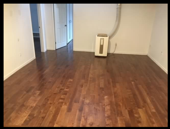 2879 Lake Shore Boulevard West - Photo 2 of 5