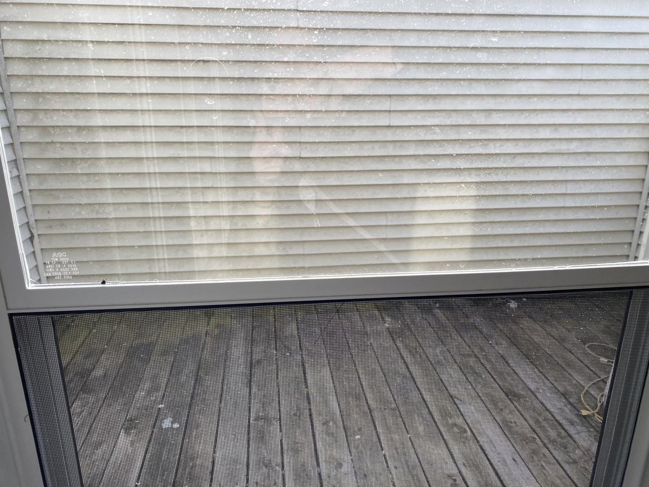 6831 N Frostwood Pkwy #1