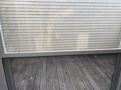 6831 N Frostwood Pkwy #75