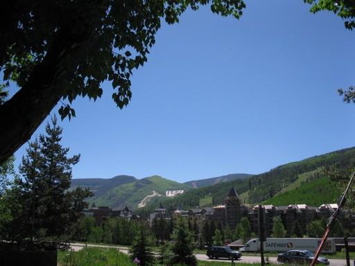 905 Red Sandstone Rd - Photo 2 of 14