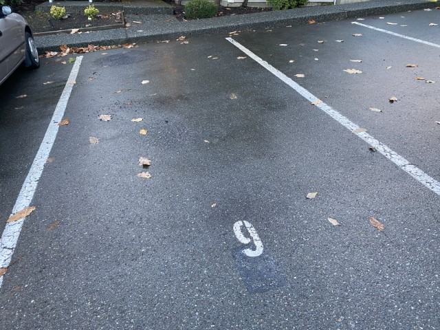 6006 Cedar Grove Dr - Photo 2 of 20