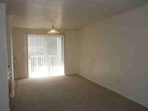 803 Blueberry Ln - Photo 3 of 11