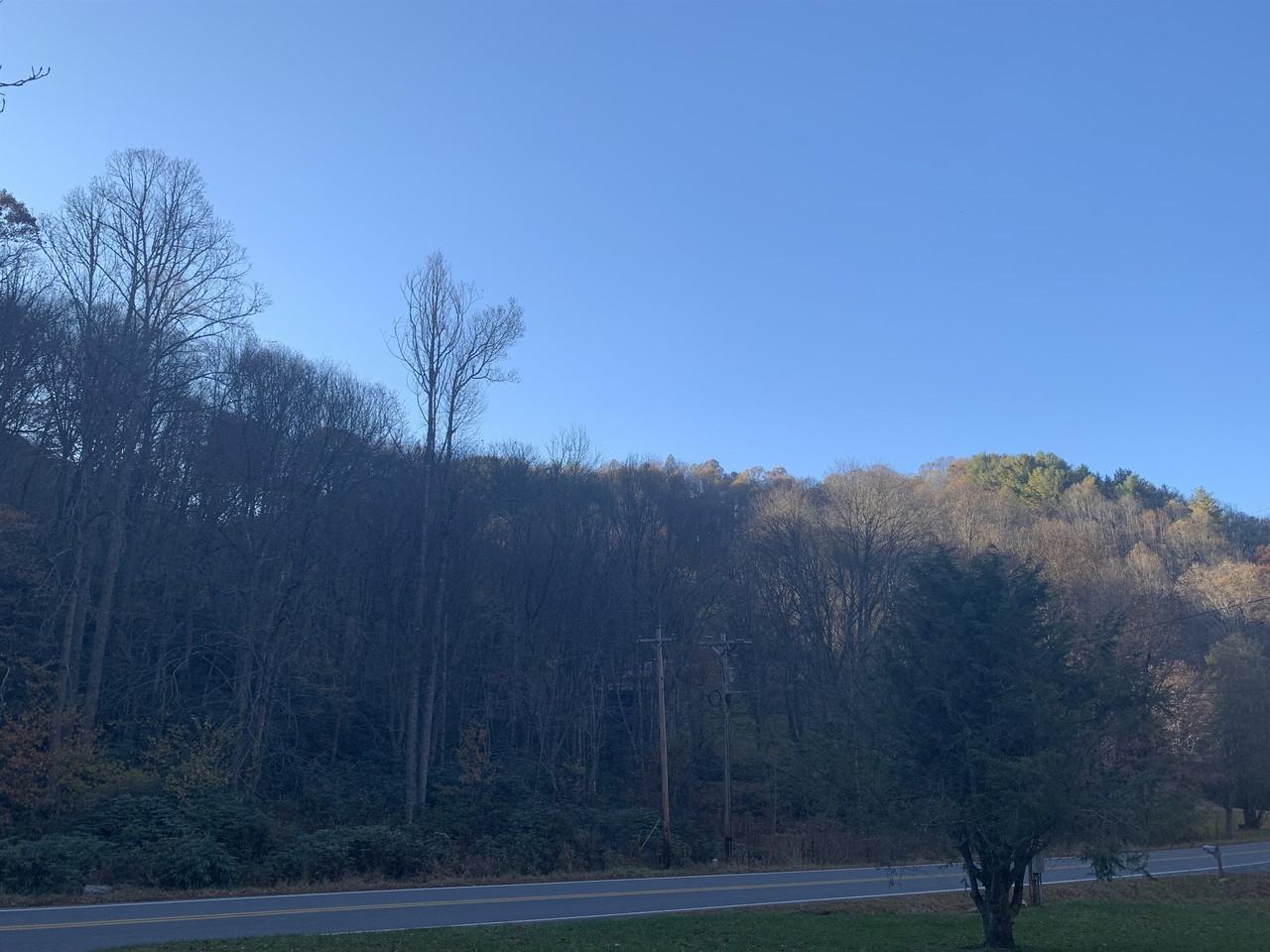 1035 Bear Branch Rd #1 - Photo 3 of 7