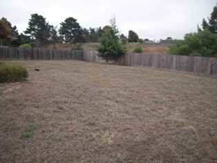 9740 Trefoil Pl - Photo 2 of 6