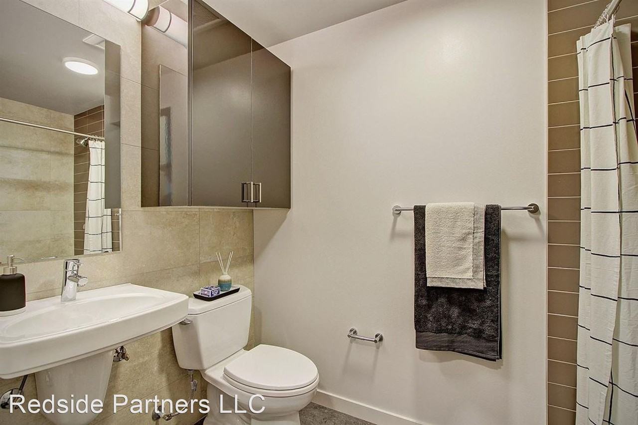 Vega - Photo 7 of 21