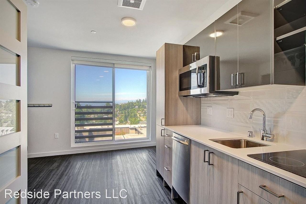 Vega - Photo 2 of 21