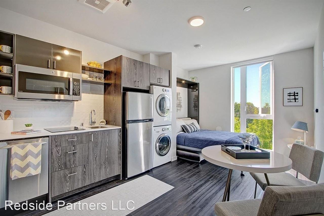 Vega - Photo 3 of 21