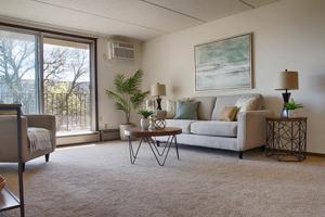 featured image of 1010 Lake St Ne