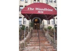 Woodbine - Photo 2 of 7