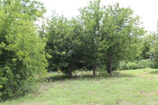 9679 Co Rd 1067 - Photo 2 of 6