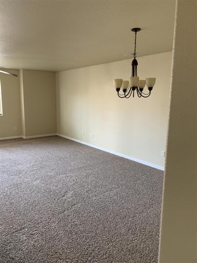 255 Federal Ave #7 - Photo 5 of 21