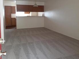 3333 W Thunderbird Rd - Photo 1 of 1