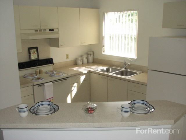 Forest Edge - Photo 2 of 15