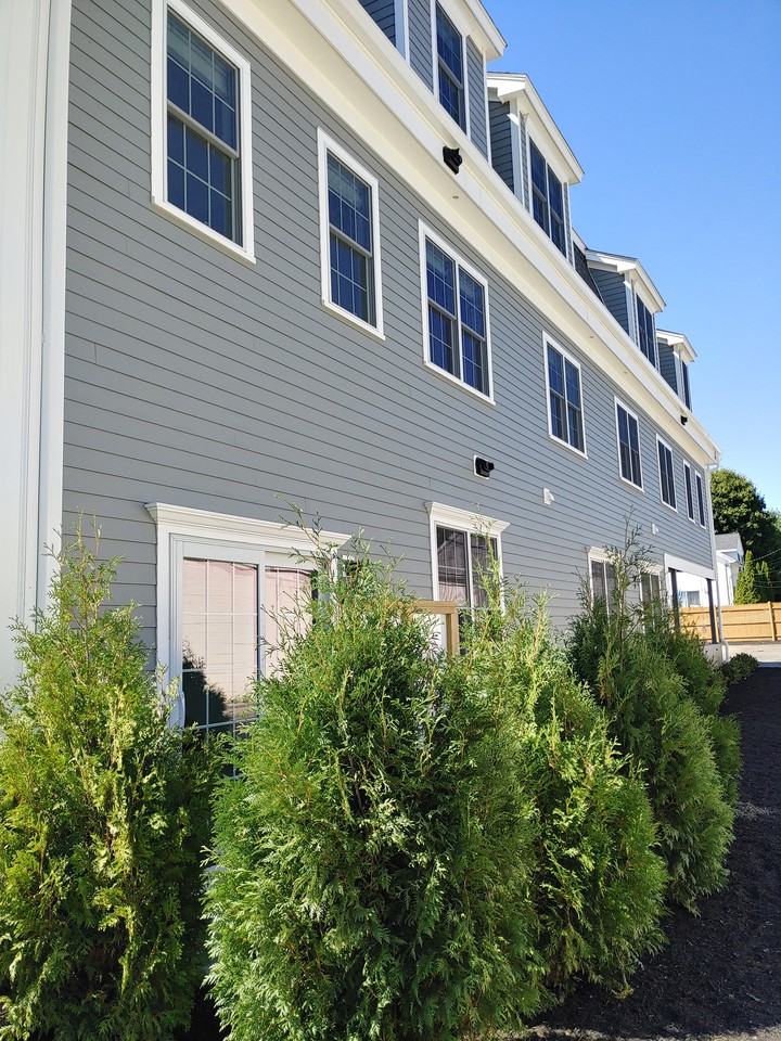 185 Willow Street #2 - Photo 3 of 13