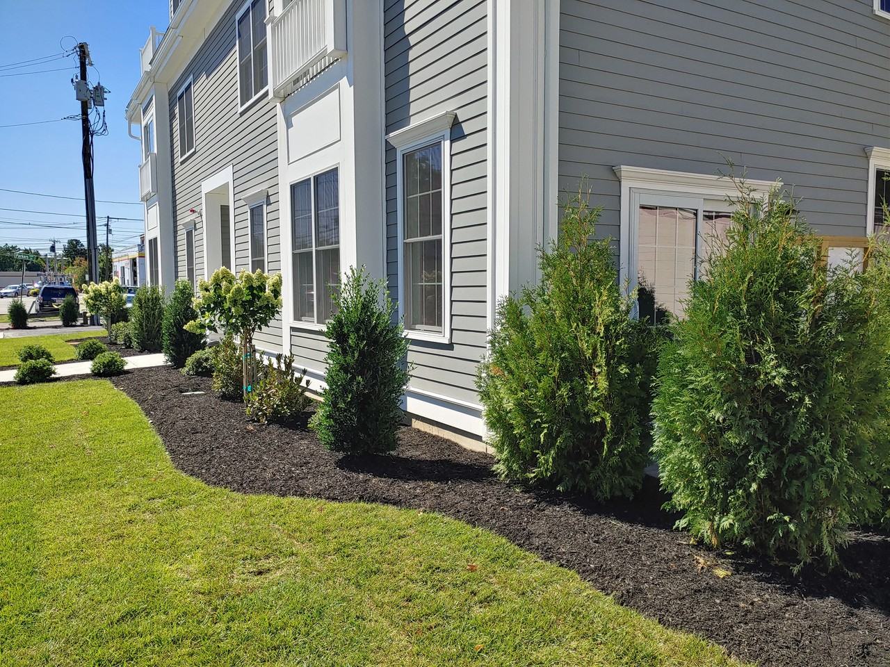 185 Willow Street #2 - Photo 2 of 13