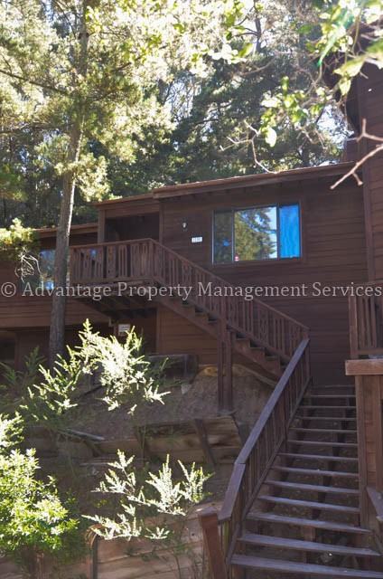 2200 Arrowhead Dr - Photo 3 of 16