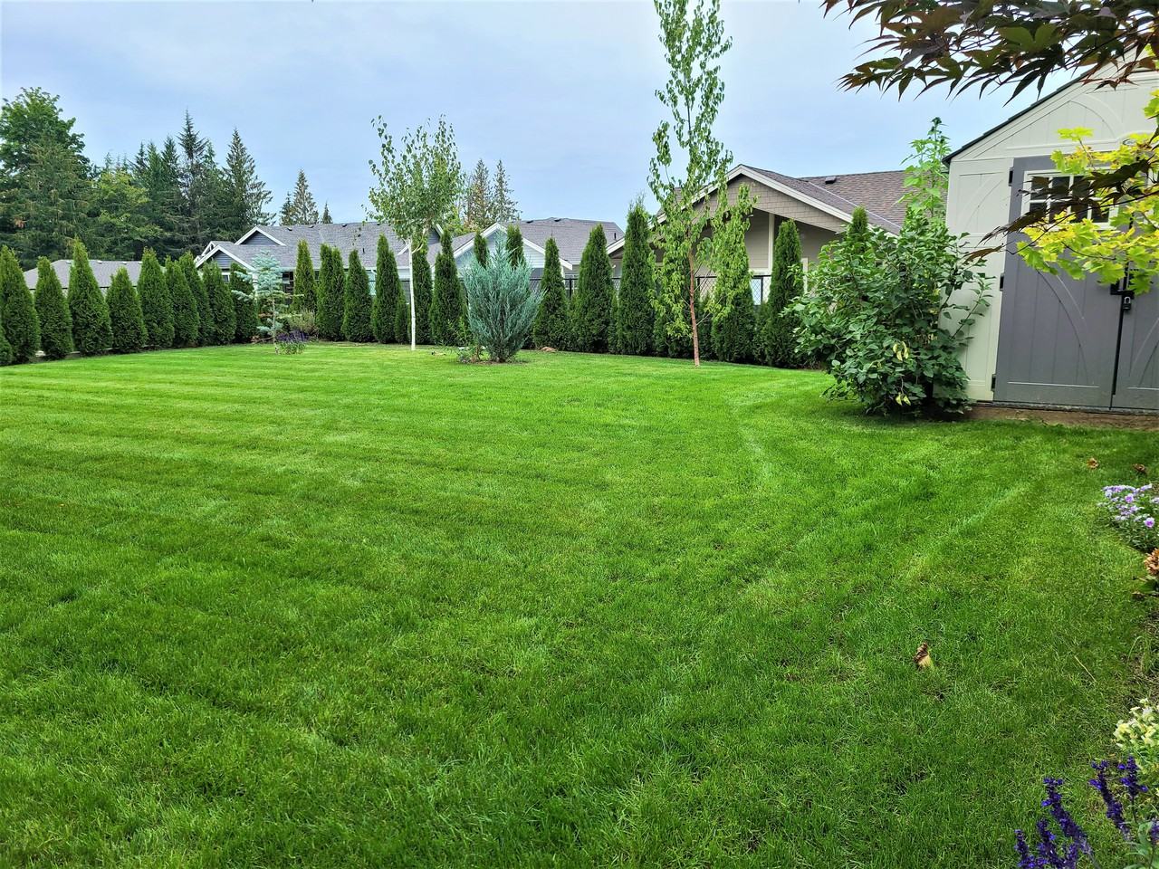 50295 Kensington Drive - Photo 3 of 5