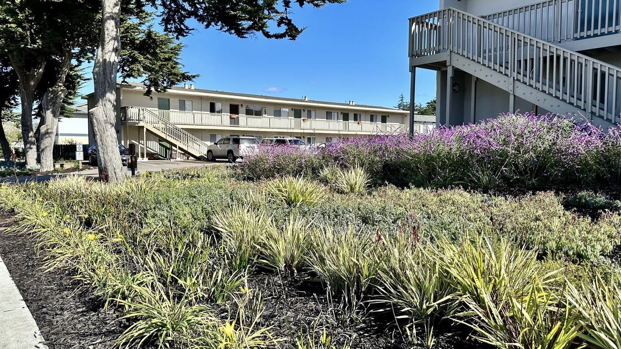 Marina Crescent - Photo 7 of 14