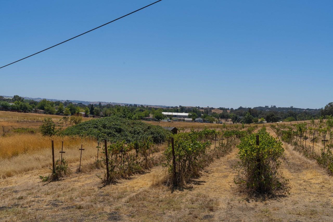 9079 Miller Way - Photo 3 of 35