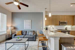 featured image of 110 West Cityline Drive #2044