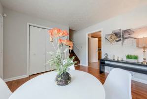 featured image of Montego Drive