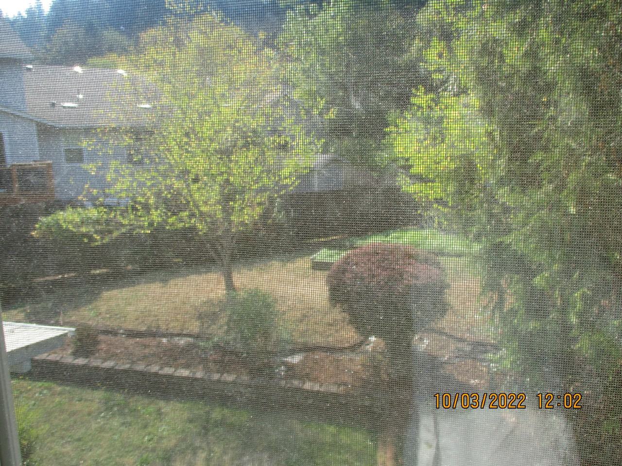 4407 Dillard Rd #4407 - Photo 5 of 10