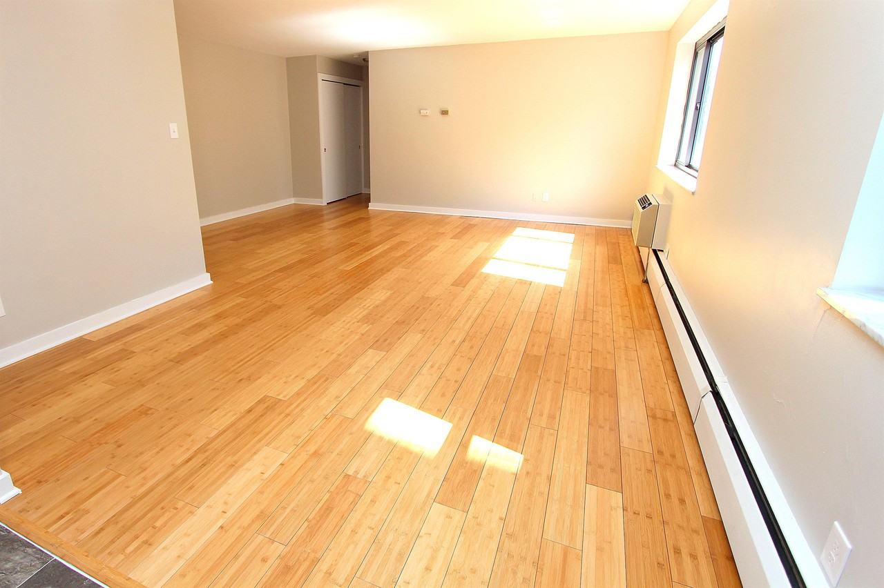 513 NORTH NEVILLE STREETAPT A-1 #A1 - Photo 5 of 11