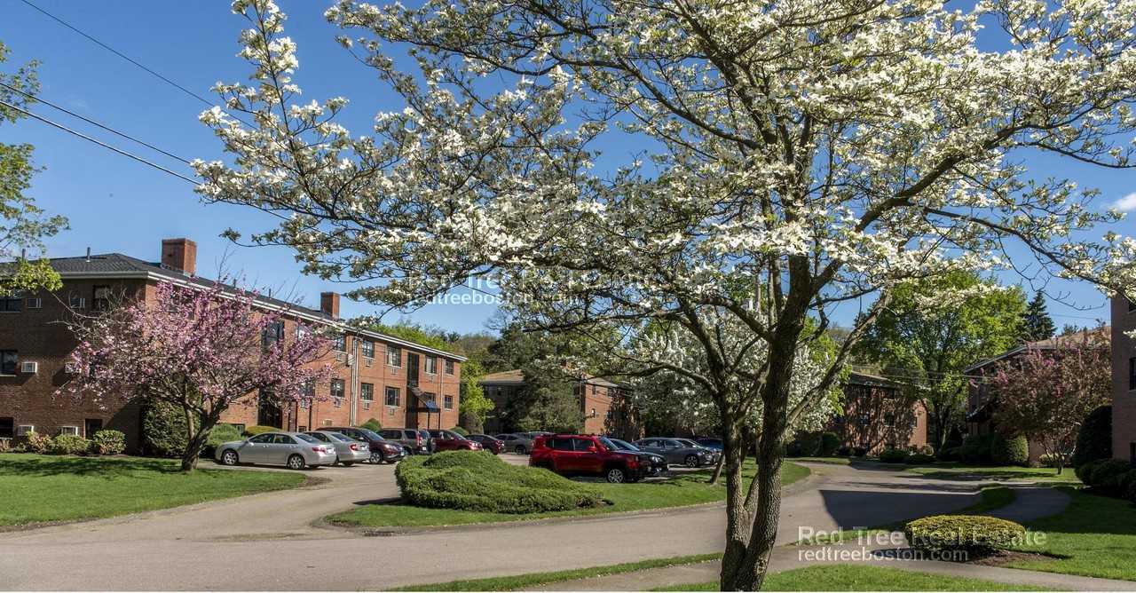 266 Grove St #9 - Photo 7 of 8