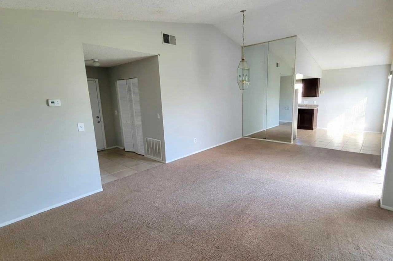 12241 Connecticut Woods Ct - Photo 3 of 10