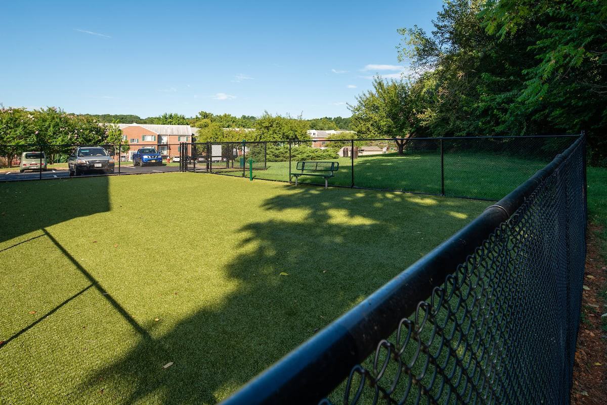 Tuscarora Creek - Photo 6 of 13