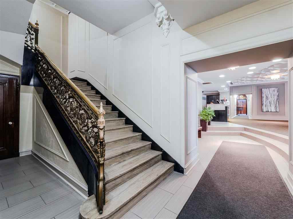 The Patricians - Photo 2 of 34