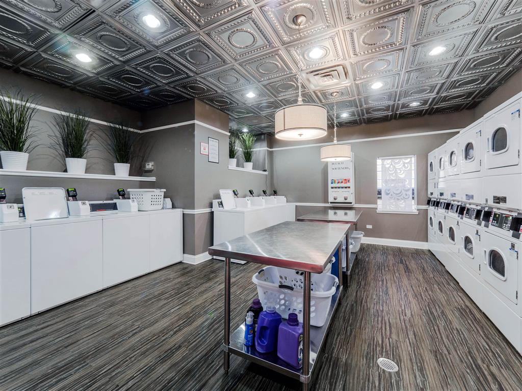 The Patricians - Photo 5 of 34