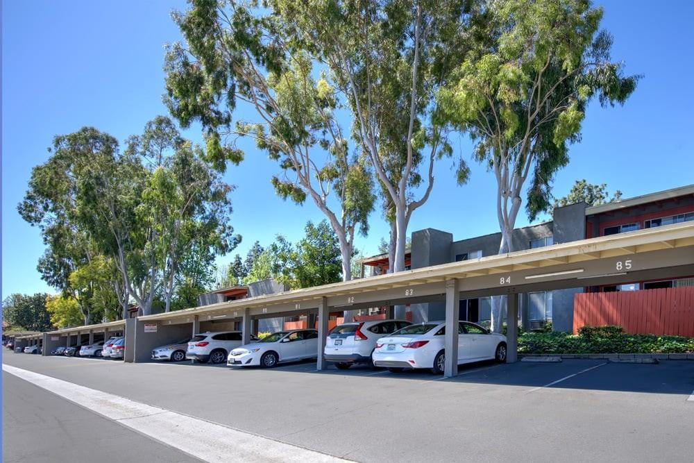 La Sérena - Photo 7 of 17