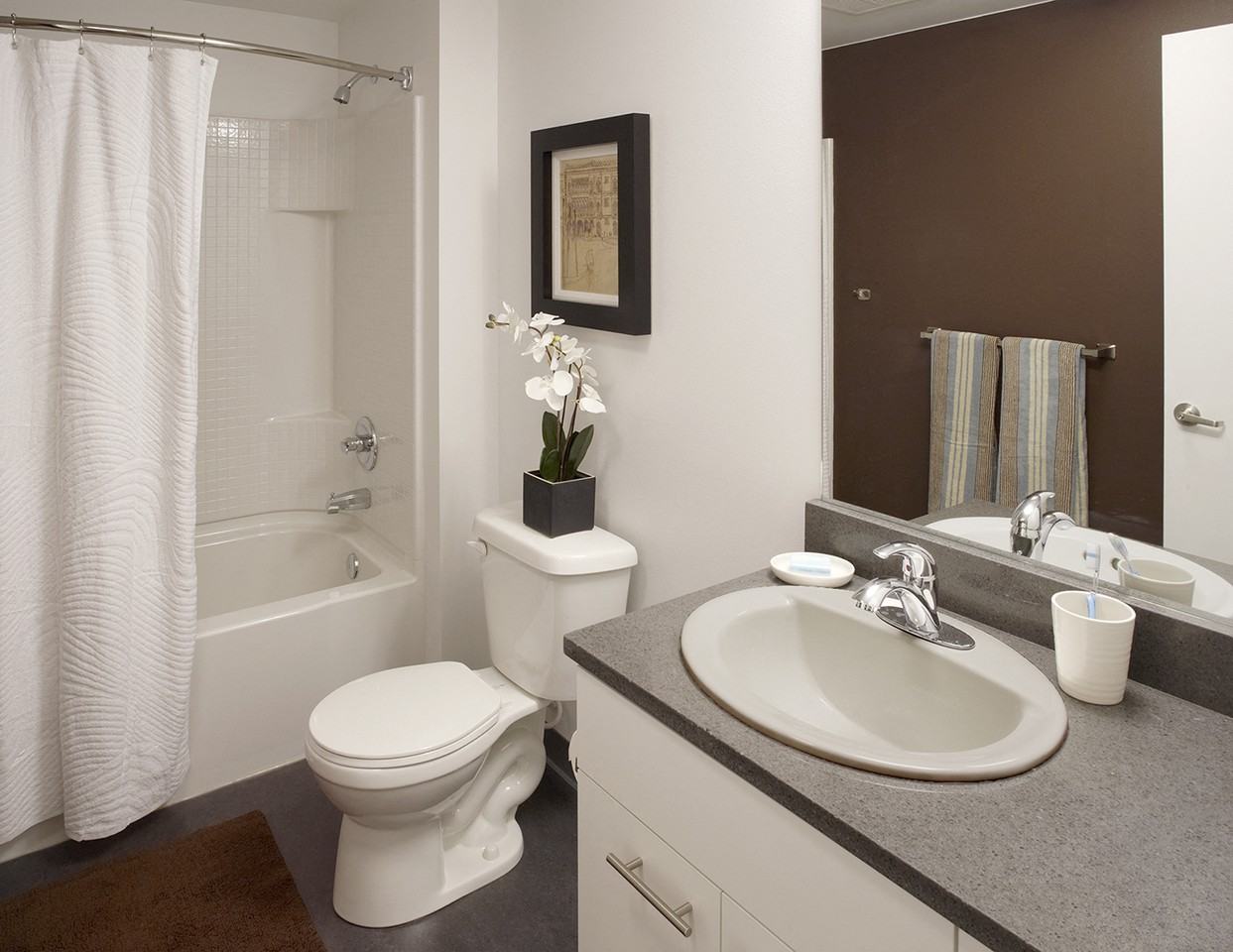 Circa Green Lake Apartments - Photo 7 of 18