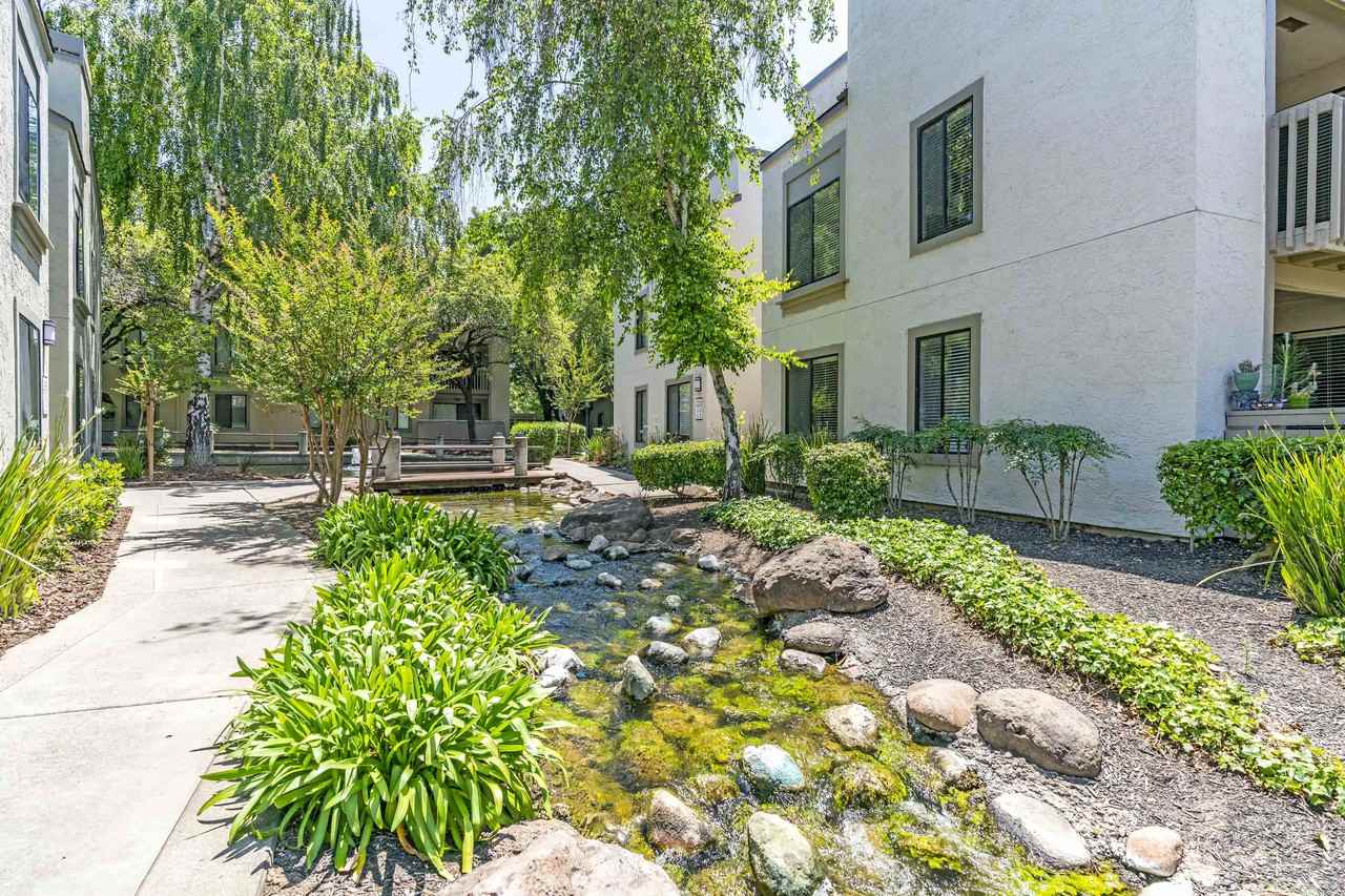 Park Lake at Walnut Creek Apartments 100 Park Lake Cir, Walnut Creek, CA 94598 Zumper