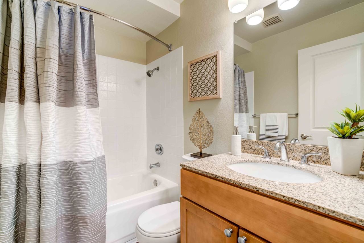 Park Lake at Walnut Creek - Photo 5 of 24