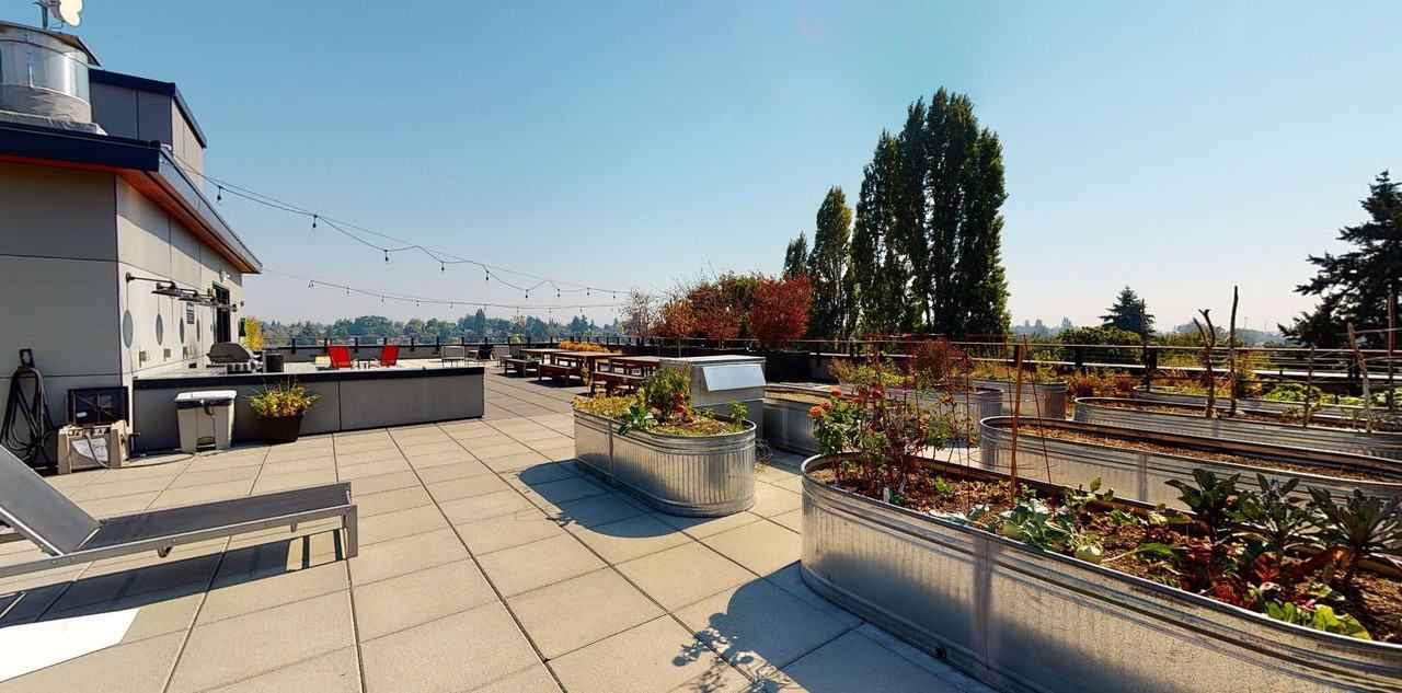 Stencil - Photo 2 of 17