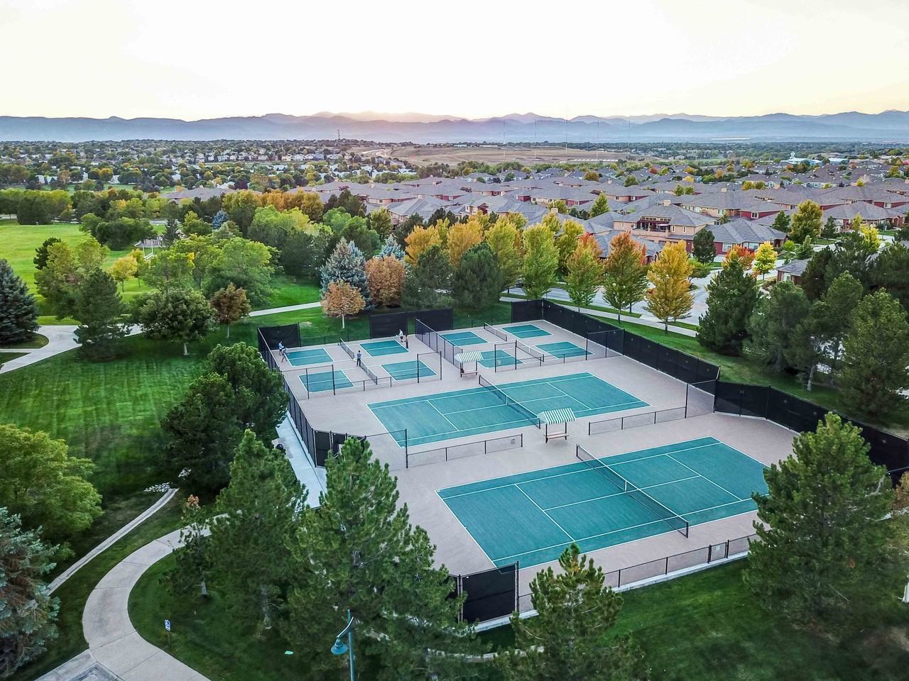 Palomino Park Resort - Photo 3 of 50