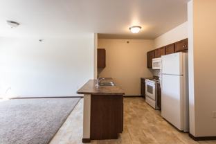 Minnesota Apartments - Photo 1 of 1