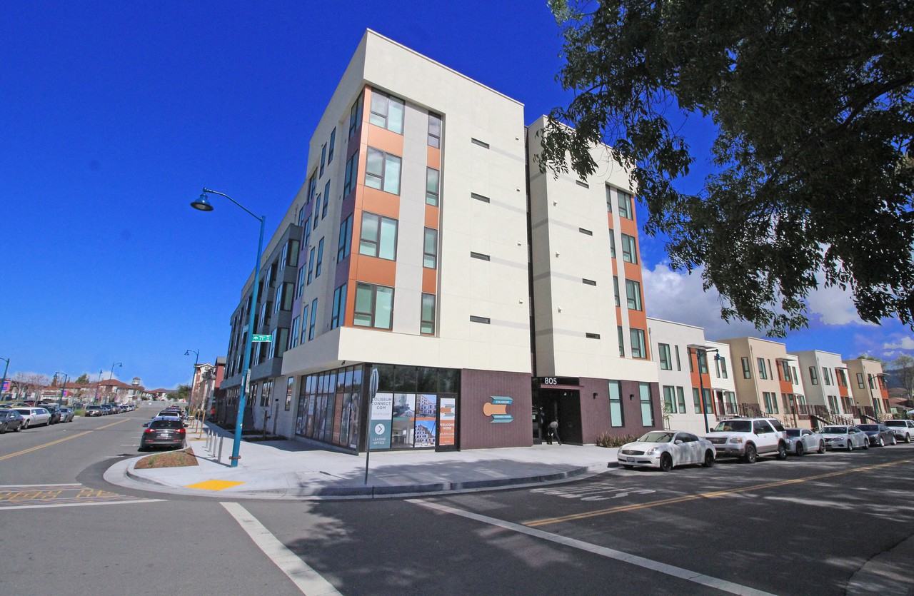 Coliseum Connections - Photo 2 of 34