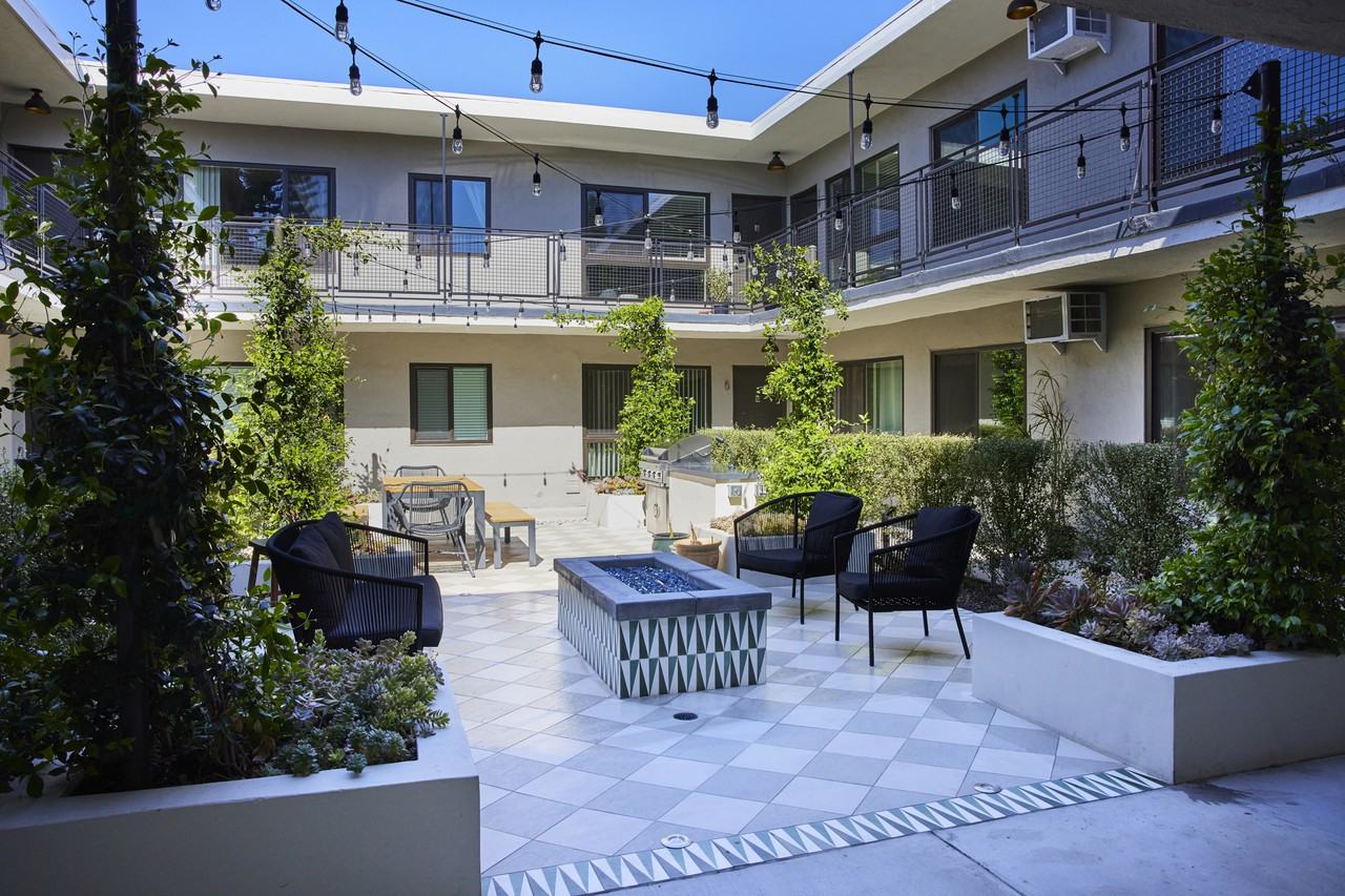 Ollie on Ogden - Photo 3 of 19