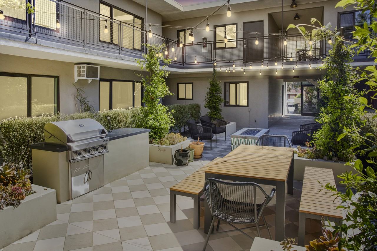 Ollie on Ogden - Photo 4 of 19