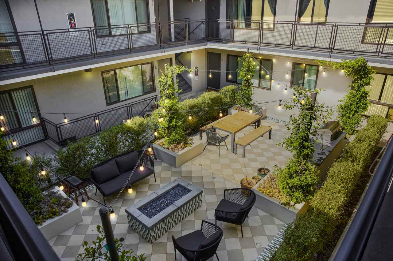 Ollie on Ogden - Photo 5 of 19