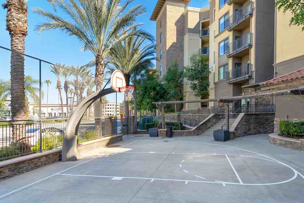 The Colony at The Lakes - Photo 4 of 50