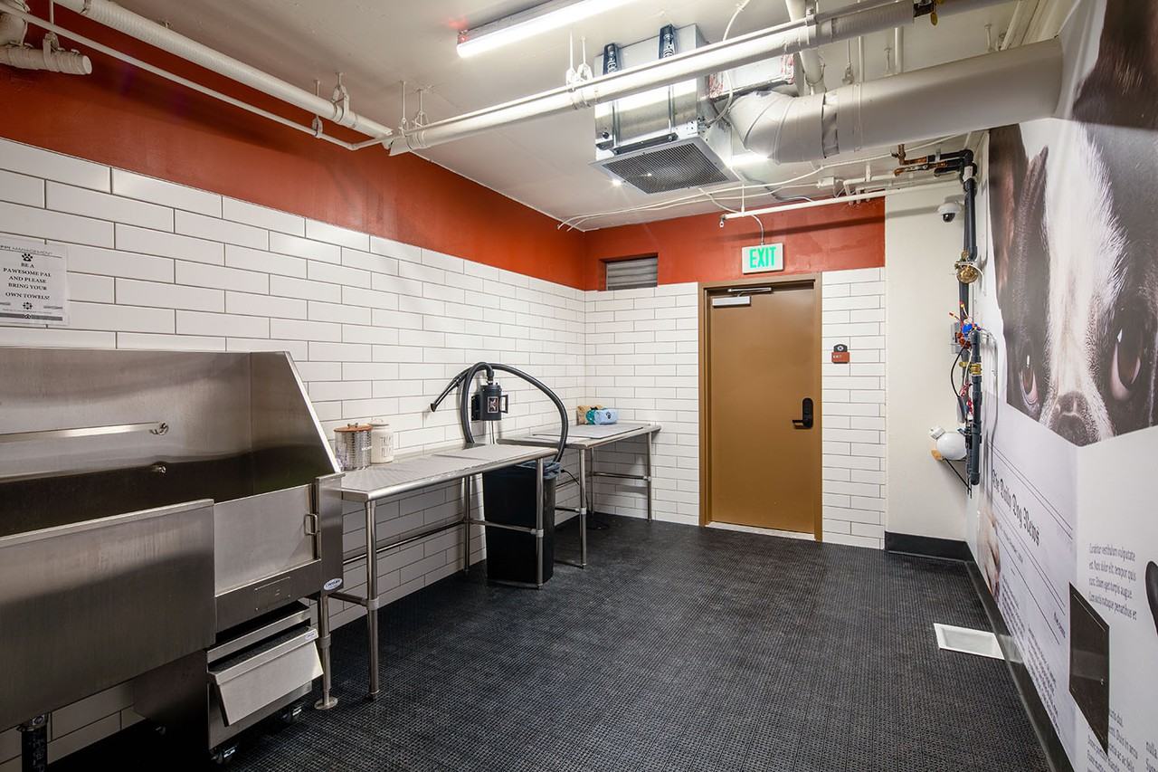 Azara San Mateo - Photo 7 of 13